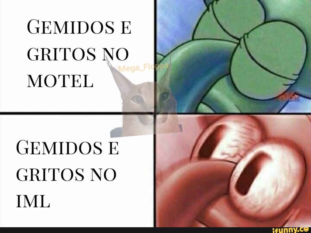 GEMIDOS E GRITOS NO MOTEL GEMIDOS E GRITOS NO IML - iFunny