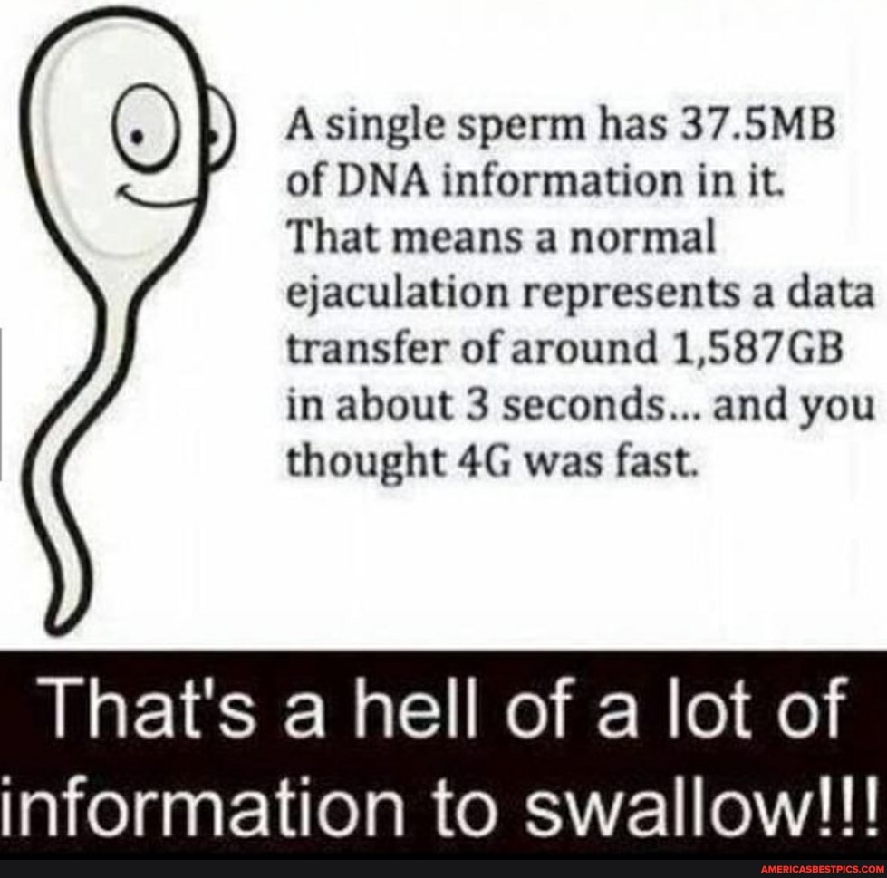 ) A single sperm has 37.5MB of DNA information in it.
That means a normal ejaculation represents a data transfer of around 1,587GB in about 3 seconds... and you thought was fast.
That's a hell of a lot of
information to swallow!!!