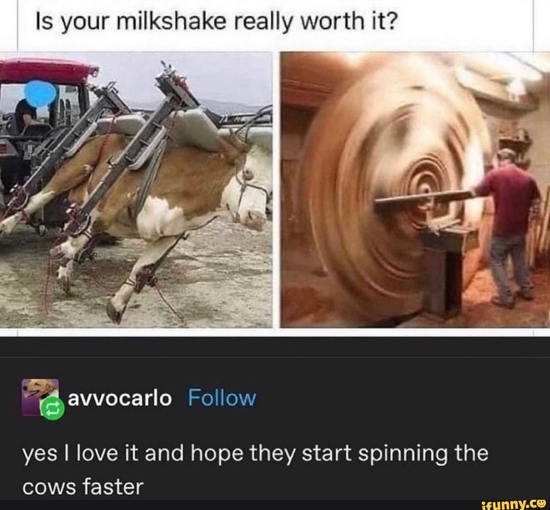 Is your milkshake really worth it? @ avvocarlo Follow yes I love