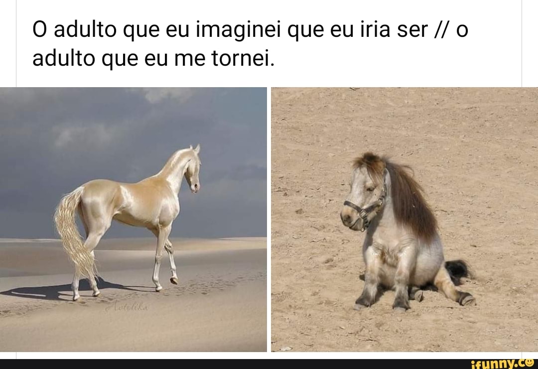 O adulto que eu imaginei que eu iria ser adulto que eu me tornei.