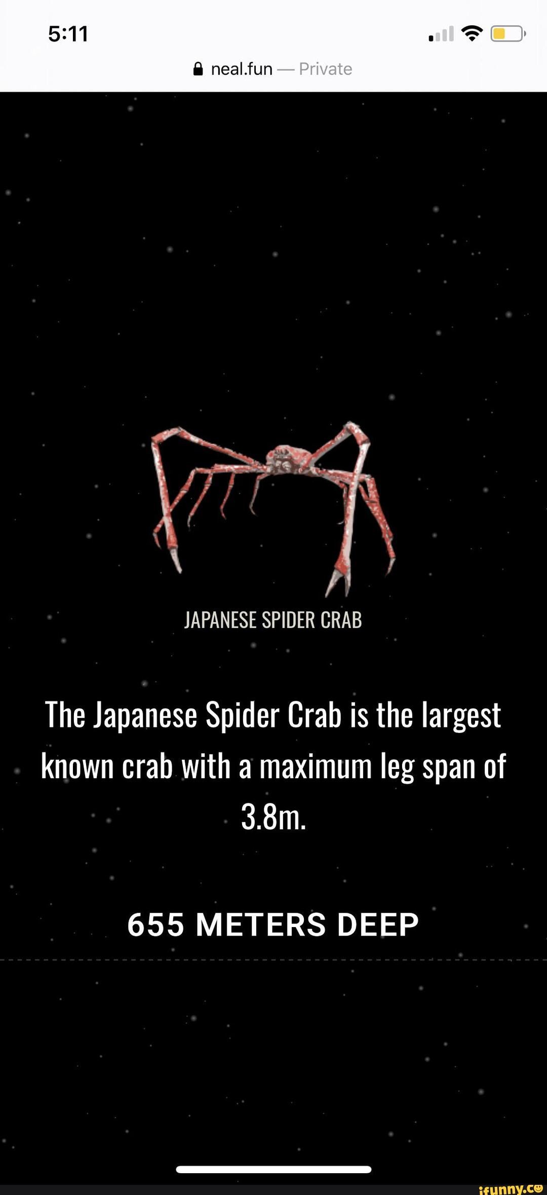The Japanese Spider Crab is the largest known crab with a maximum leg span of 655 METERS DEEP