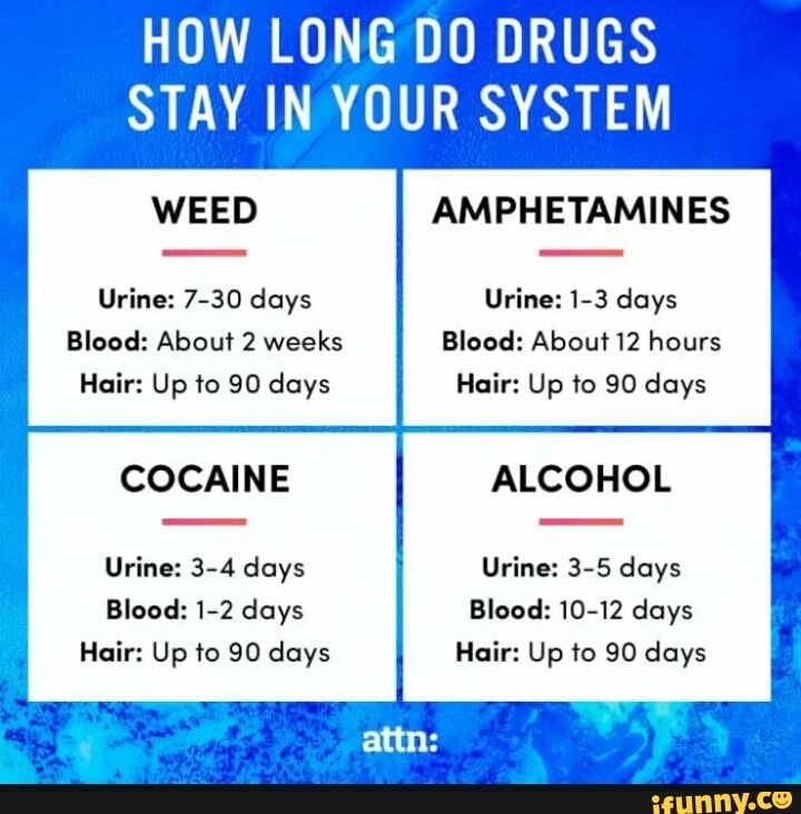 How Long Do Drugs Stay In Your System Urine 7 30 Days Urine 1 3