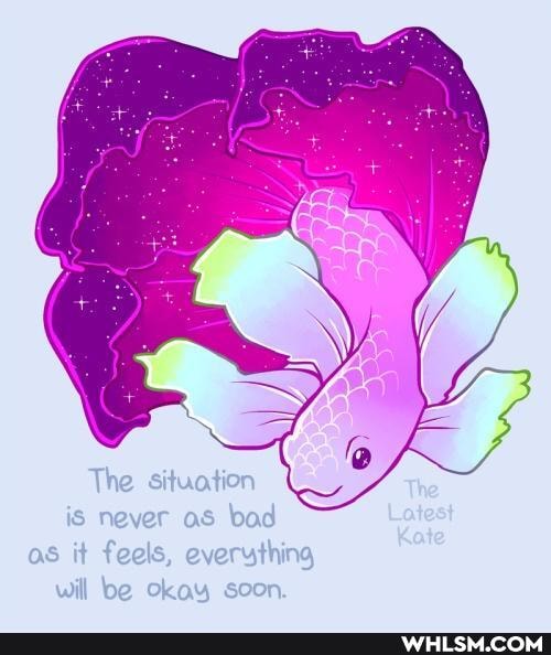 The situation The is never as bod Lotest as it feels, everything
will be ckay soon.