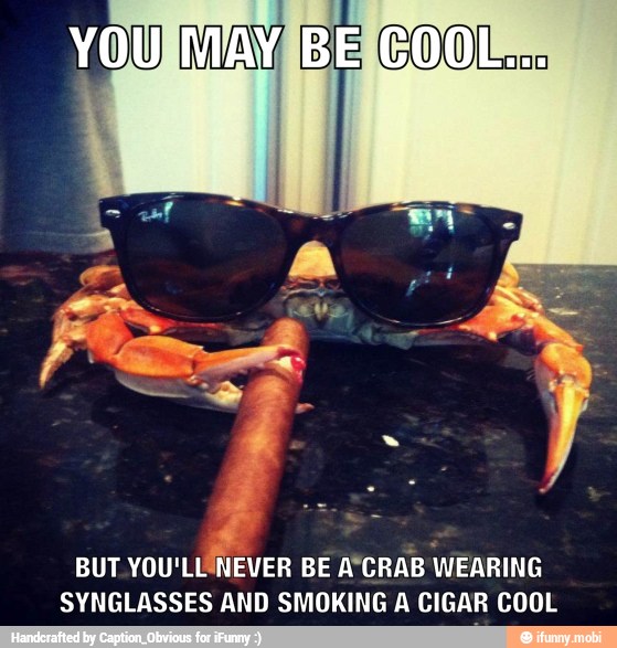 BUT
YOU'LLNEVER BE A'CRAB WEARING
SYNGLASSES AND SMOKING A CIGAR COOL