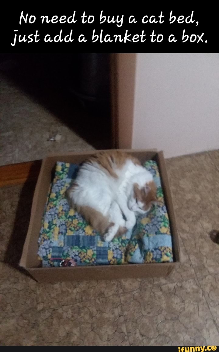 No Need To Buy Cat Bed, Just Add 