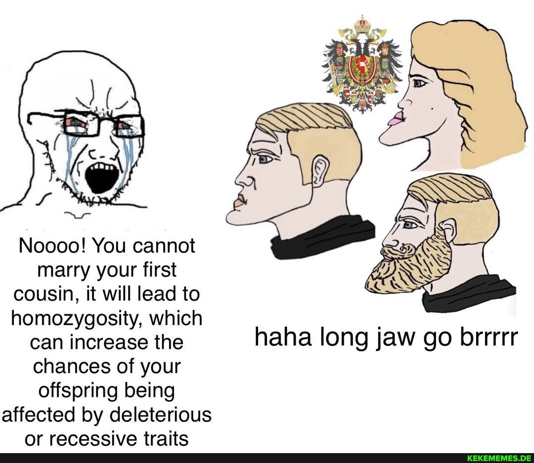 Noooo! You cannot marry your first cousin, it will lead to homozygosity, which
can increase the haha long jaw go brrrrr chances of your offspring being affected by deleterious or receccive traite