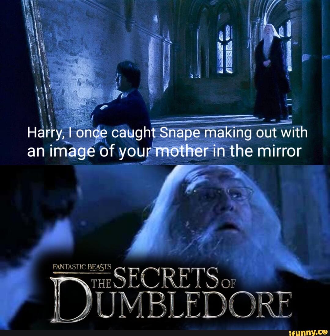 Harry, I once caught Snape making out with an image of your mother in the m...