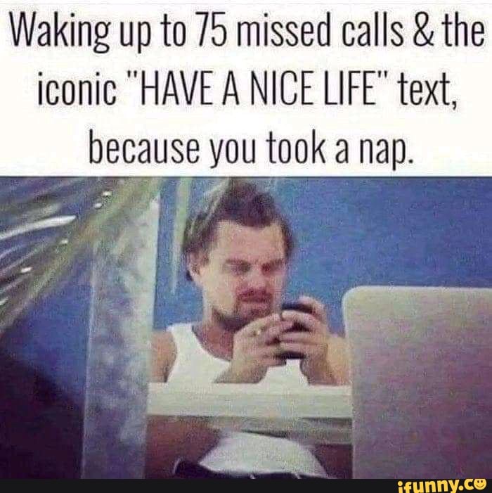 Waking up to 75 missed calls & the
iconic "HAVE A NICE LIFE" text, because you took a nap.
= aa