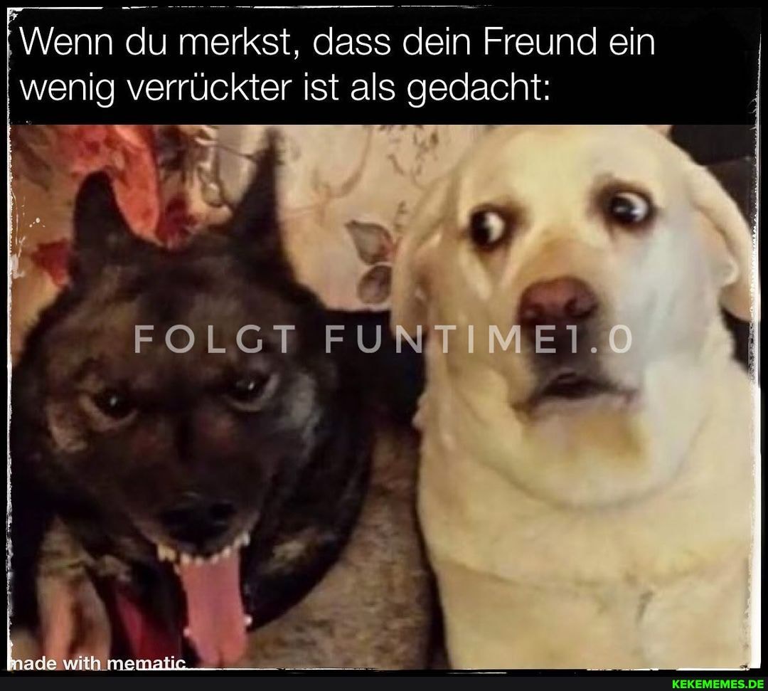 Wenn du merkst, dass dein Freund ein wenig verrückter ist als gedacht:
FOLGT