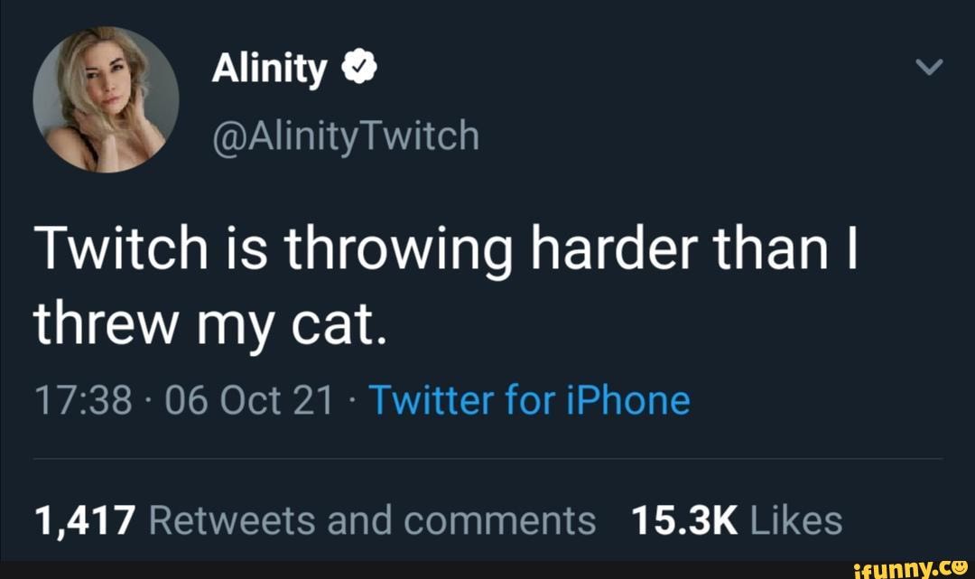 Alinity Throwing Cat Meme Funny Memes vrogue.co