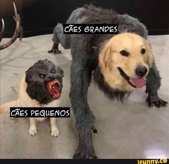 CÊES PEQUENOS