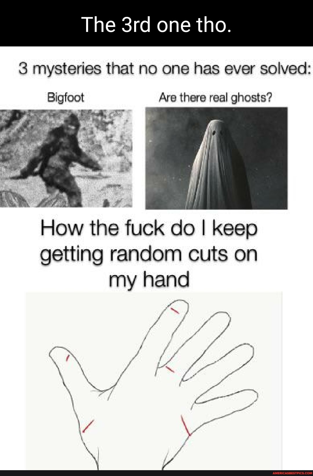 The one tho.
3 mysteries that no one has ever solved:
Are there real ghosts?
Hi
How the fuck do I keep getting random cuts on
my hand ff
C> ff
ff