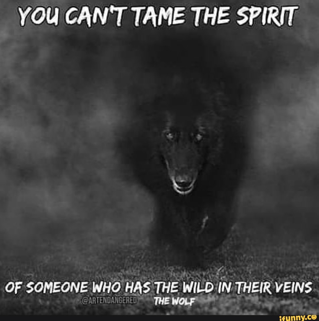 YOU CAN'T TAME THE SPIRIT
OF SOMEONE WHO HAS THE WILD IN THEIR VEINS
THE
