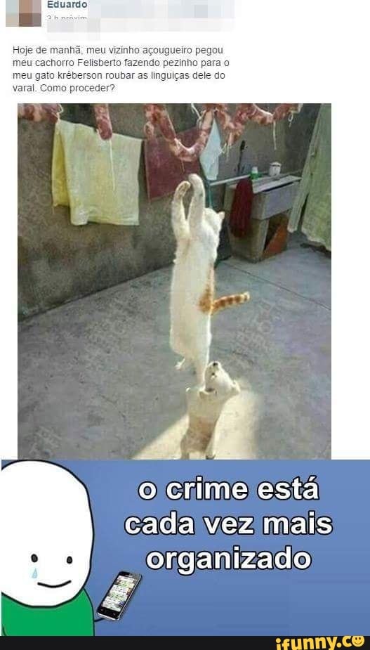 Hoje de manhã, meu vizinho açougueiro pegou
meu cachorro Felisberto fazendo pezinho para o
meu gato kréberson roubar as linguiças dele do
varal. Como proceder?
organizado
