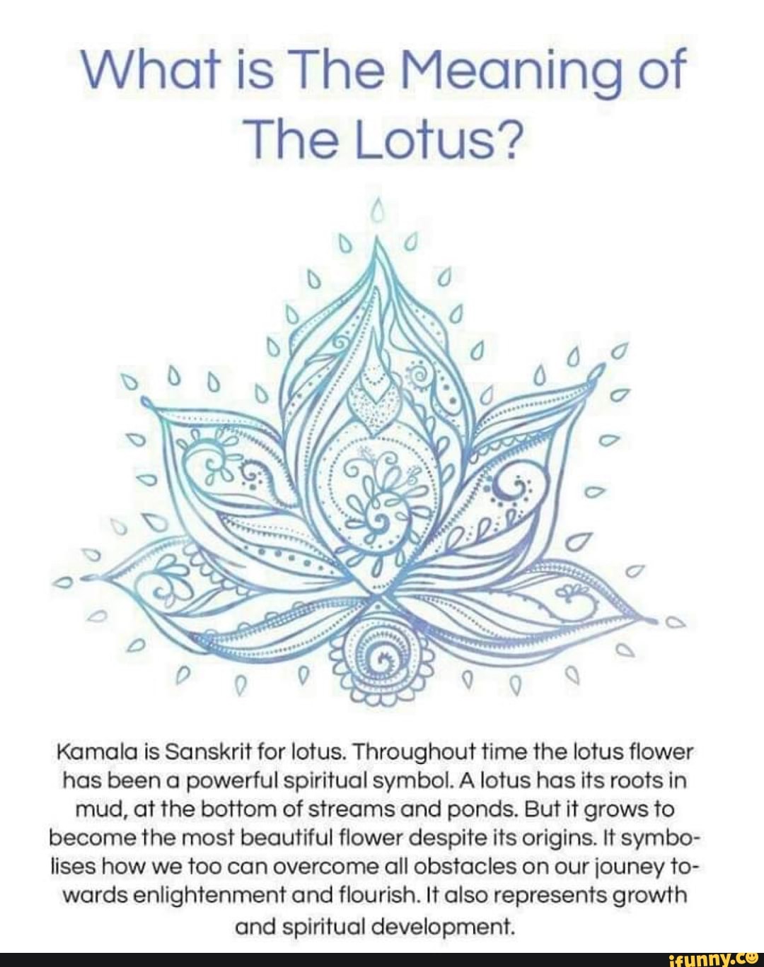 What is The Meaning of The Lotus? Kamala is Sanskrit for lotus