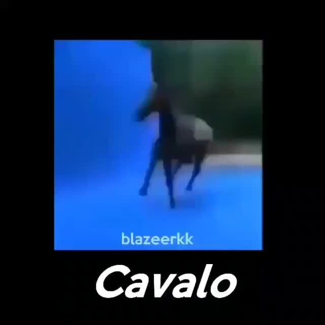 Spinning Horse / Cavalo