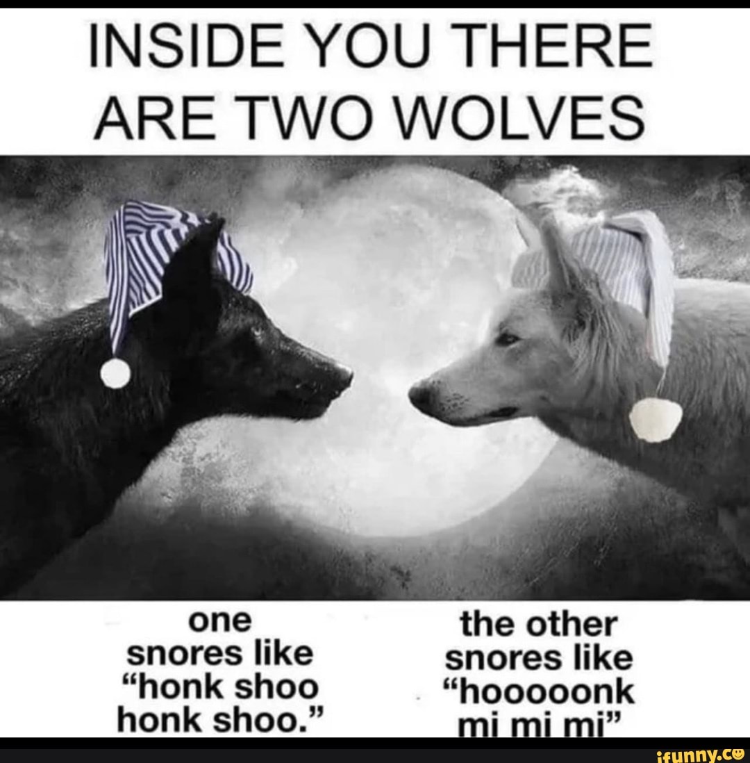 There are two wolves meme