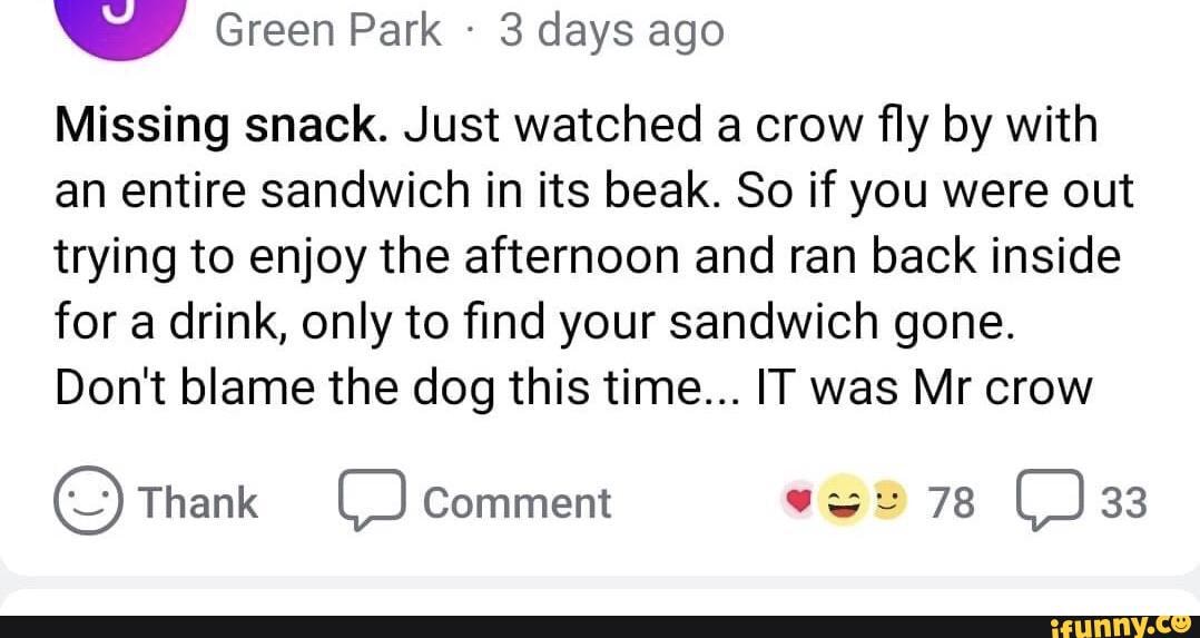 Green Park - 3 days ago
Missing snack. Just watched a crow fly by with an entire sandwich in its beak. So if you were out trying to enjoy the afternoon and ran back inside for a drink, only to find your sandwich gone.
Don't blame the dog this time... IT was Mr crow
Thank Comment 78 33