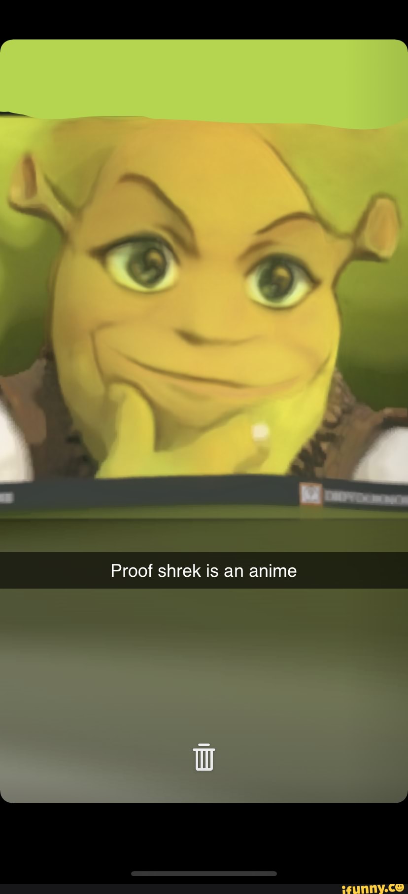 Shrek is my favorite anime