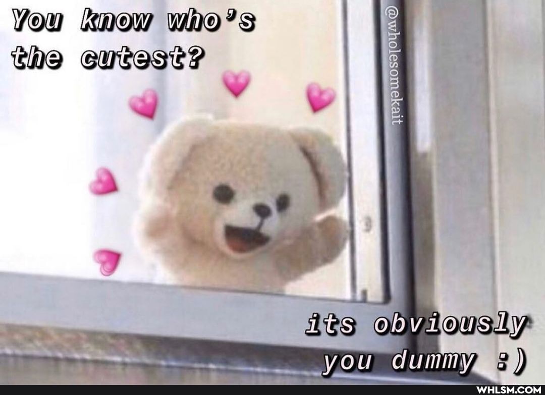 You who 's
Che cutest?
you dummy