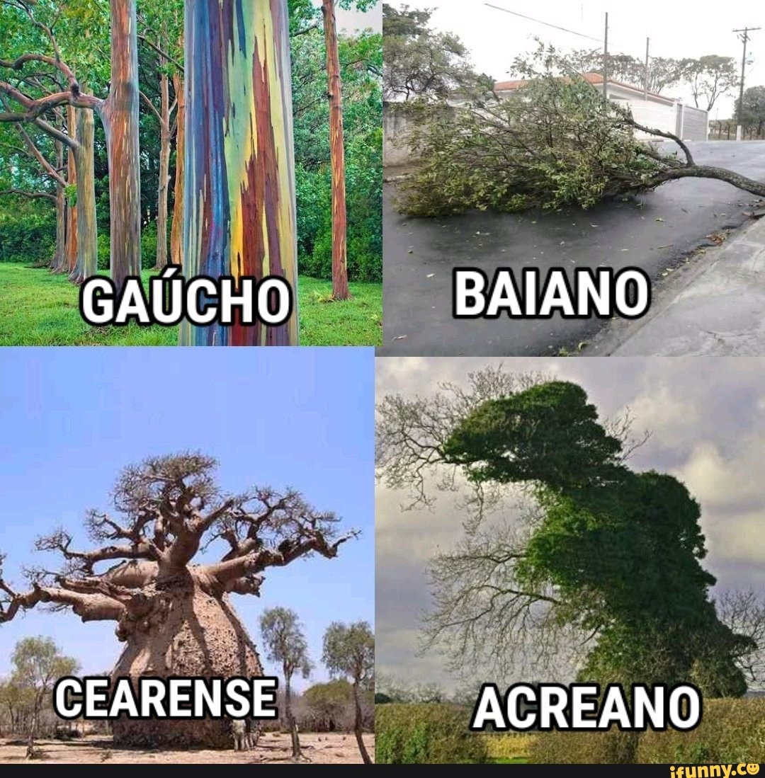 GAÚCHO BAIANO
CEARENSE ACREANO