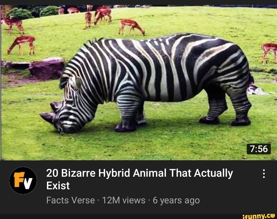 Sf 20 Bizarre Hybrid Animal That Actually Exist Facts Verse - Views - 6 ...