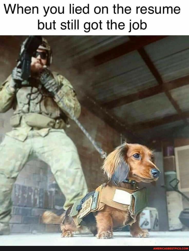 When you lied on the resume but still got the job