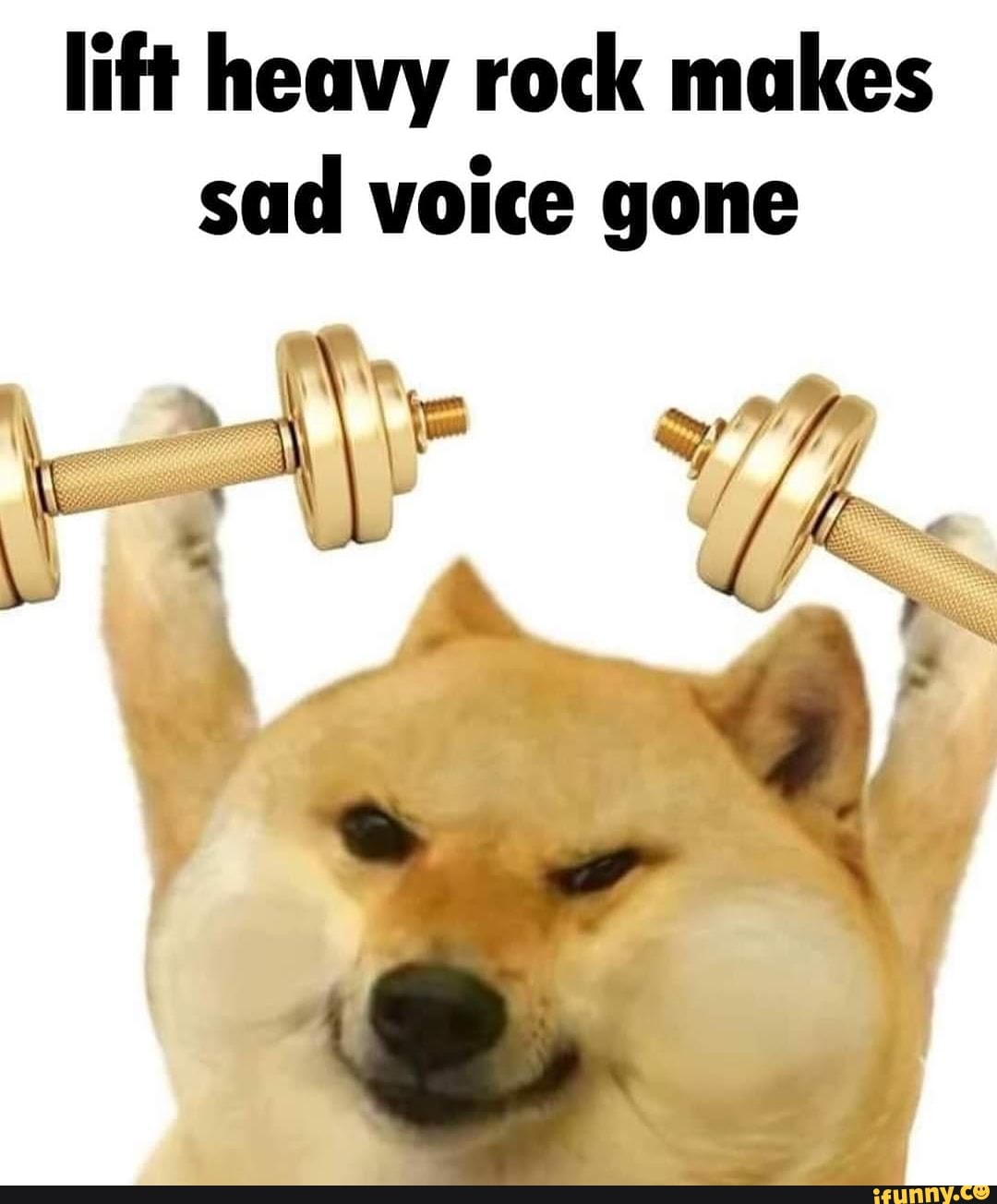 Lift heavy rock makes sad voice gone iFunny