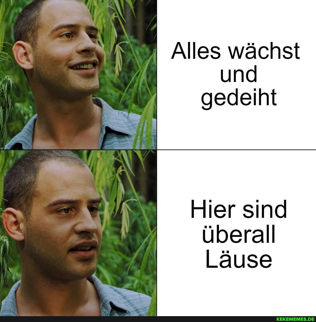 Alles wächst und gedeiht
Hier sind überall
Läuse