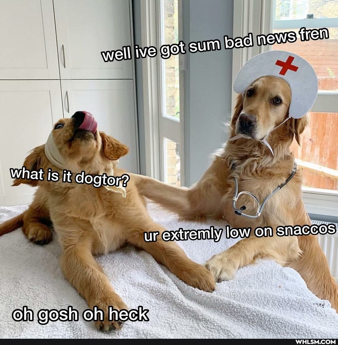 what is it dogtor? I
ur extremly low on snaccos
oh gosh oh heck