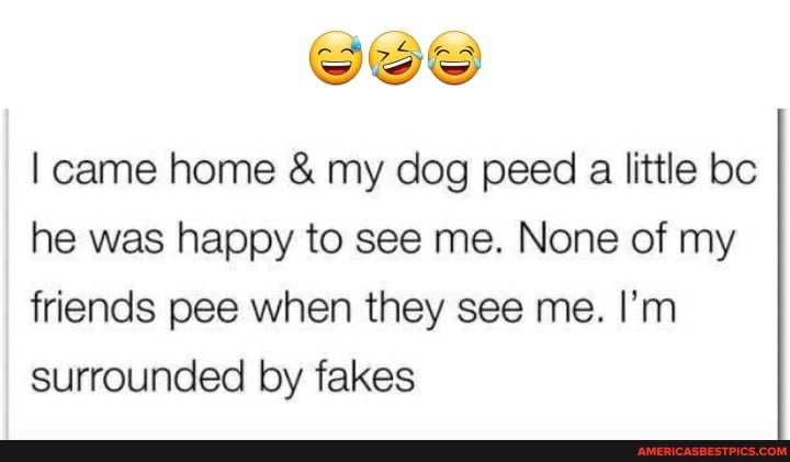 fa
came home & my dog peed a little bc he was happy to see me. None of my friends pee when they see me. I'm surrounded by fakes