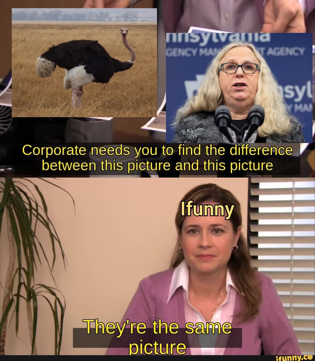 Corporate needs you to find the difference