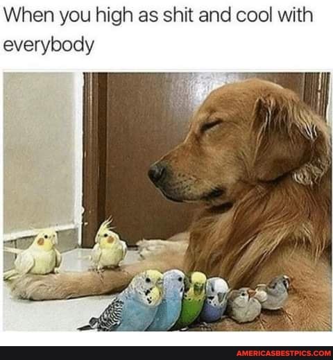When you high as shit and cool with everybody
