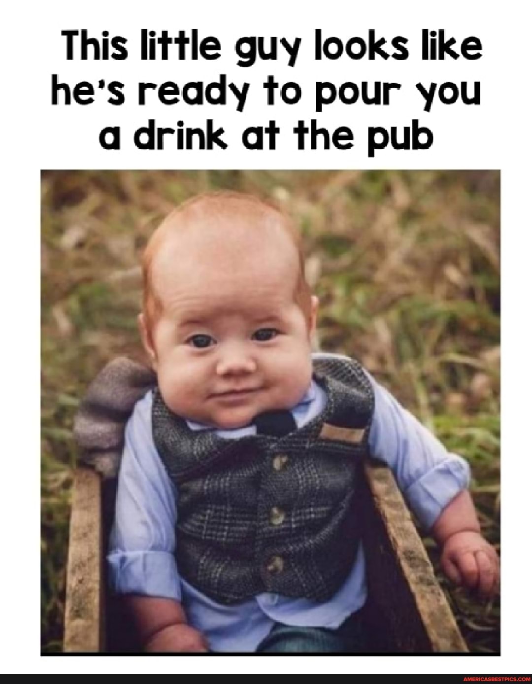 This little guy looks like he's ready to pour you a drink at the pub