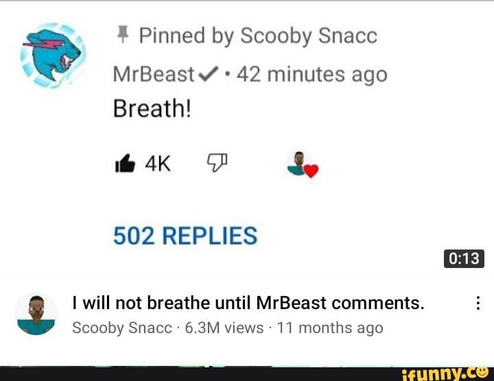 Pinned By Scooby Snacc Mrbeast 42 Minutes Ago Breath Dy 502 Replies I