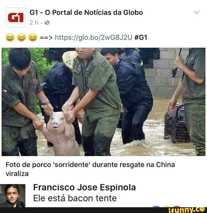 O Portal de Notícias da Globo
Mad"
Foto de porco 'sorridente' durante resgate na China
viraliza
Francisco Jose Espinola
Ele está bacon tente