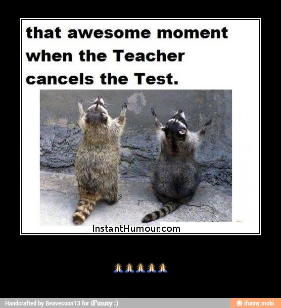 that awesome moment
when the Teacher
cancels the Test.
InstantHumour.com - πππππ