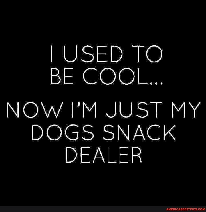 I USED TO BE COOL...
NOW I'M JUST MY DOGS SNACK DEALER