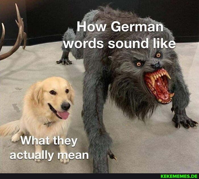 How German words sound like What they actually mean