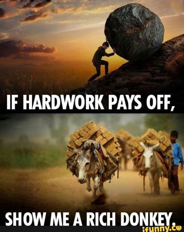 IF HARDWORK PAYS OFF, SHOW ME A RICH DONKEY. - iFunny