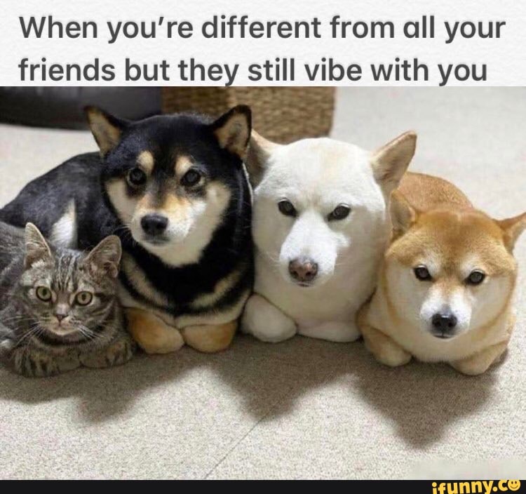 When you're different from all your
friends but they still vibe with you