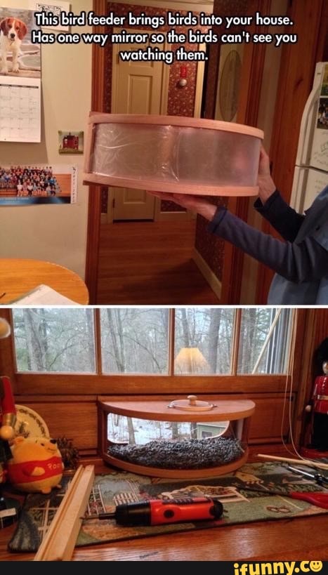 This bird feeder brings birds into your house.
Hus one way oircor so the birds can't see you watching them