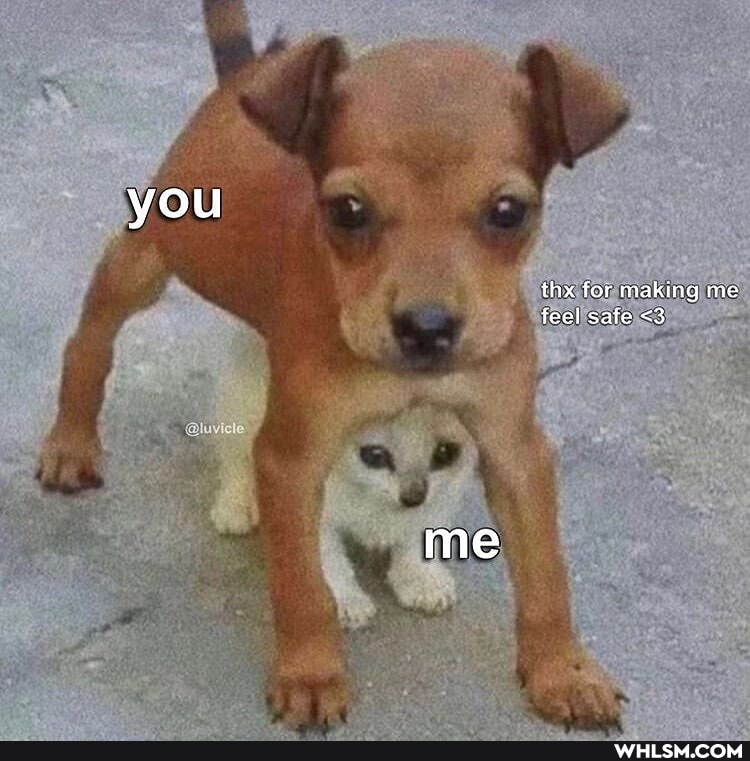 you
thx for making me fecl safe <3
me