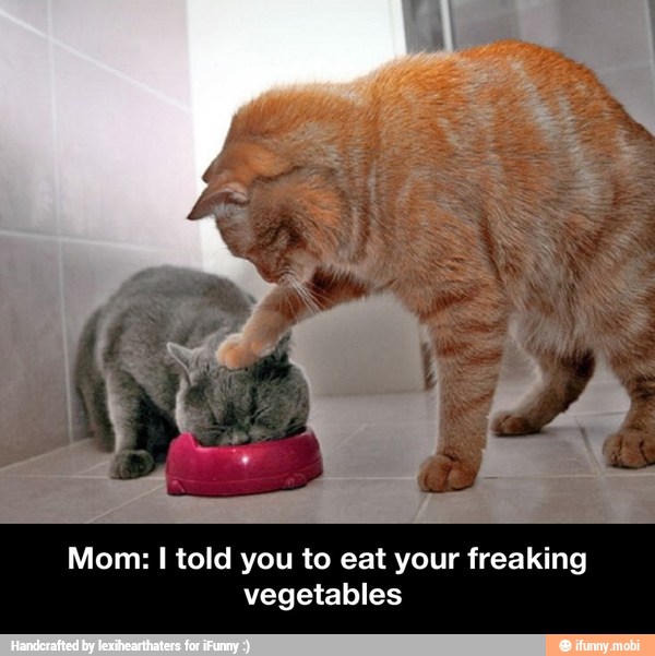 Mom: I told you to eat your freaking
vegetables - Mom: I told you to eat your freaking vegetables