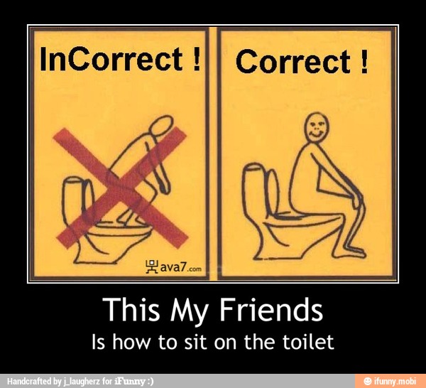 InCorrect !II Correct This My Friends
Is how to sit on the toilet - This My Friends
Is how to sit on the toilet
