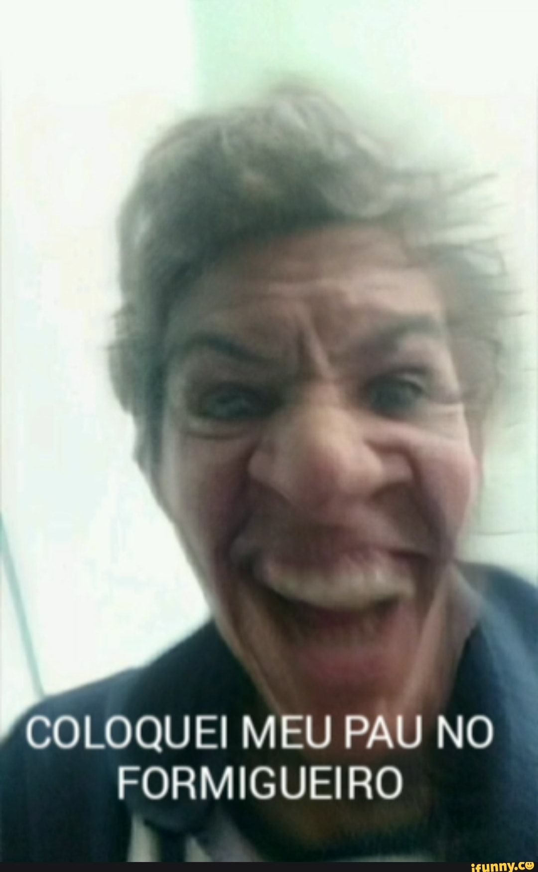 COLOQUEI MEU PAU NO
FORMIGUEIRO