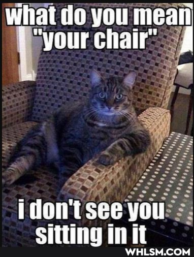 what do you mean
"your chair'
see you
Omtinia mit