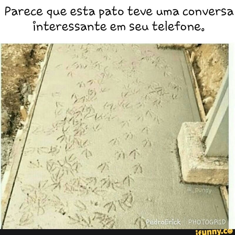 Parece que esta pato teve uma conversa
interessante em seu telefone,