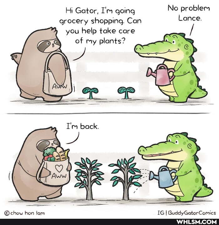 Hi Gator, I'm going No problem grocery shopping. Can Lance.
you help take care / of my plants?