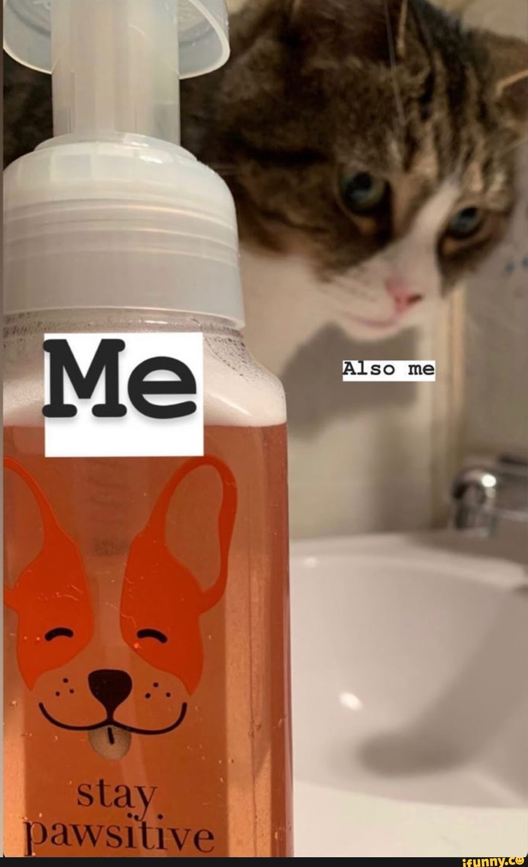 "Me
stay, pawsitive